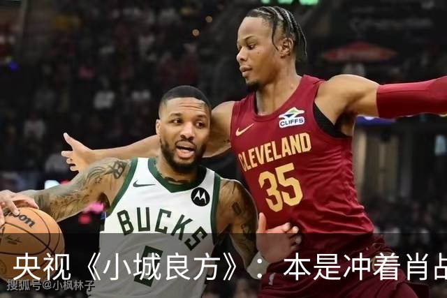 央视《小城良方》：本是冲着肖战看得，却被40岁的女三号惊艳了!